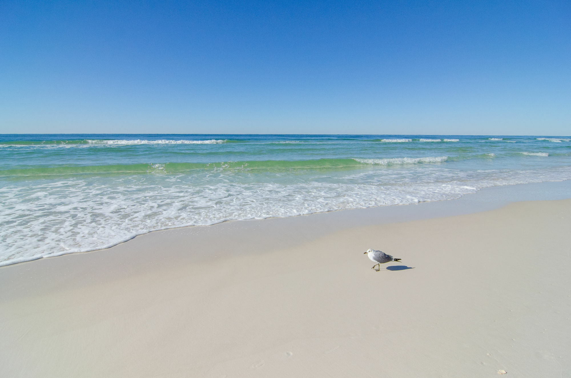 Sunswept By Panhandle Getaways Panama City Beach Exterior foto